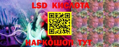 крисы Донской