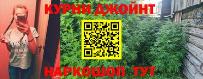 крисы Донской