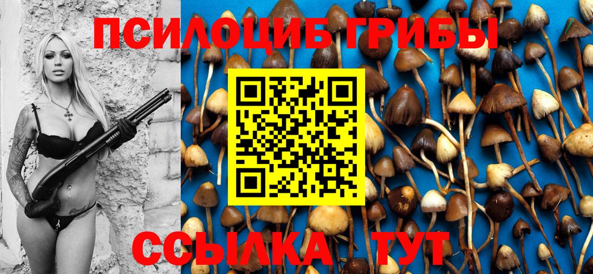 Псилоцибиновые грибы Cubensis Надым