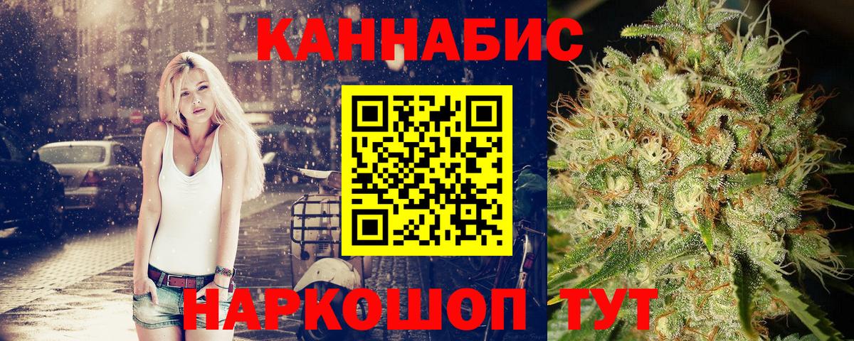 Конопля сатива Надым